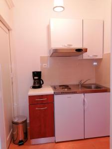 Kuchyň nebo kuchyňský kout v ubytování Apartment and room Gušćić