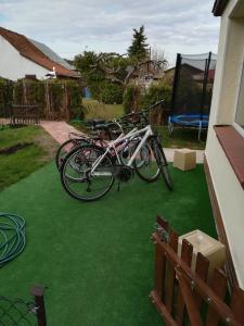 a group of bikes parked on a lawn at Cichy Zakątek in Wilkasy