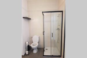 een badkamer met een douche en een toilet bij Appartement le Michel ange in Briançon
