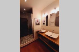 un bagno con un lavandino e un grande specchio di Appartement grand confort au cœur de Millau a Millau Altre 33 foto