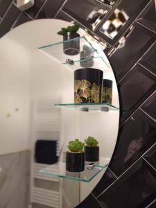 a mirror on a wall with some plants on it at Lionas Central Apartment in Bistriţa