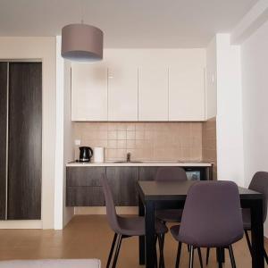 Kuchyň nebo kuchyňský kout v ubytování Apartman Ibarstar