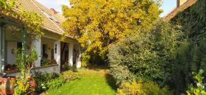 dom z drzewem z żółtymi liśćmi w obiekcie Égkőris Vendégház w mieście Bakonyszücs