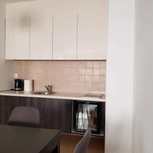 Kuchyň nebo kuchyňský kout v ubytování Apartman Ibarstar