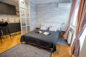 Il comprend une petite chambre avec un lit et une cuisine. dans l'établissement Apartment Studio Milena, à Subotica