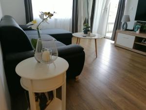 Fotografie z fotogalerie ubytování Gizmo v destinaci Makarska