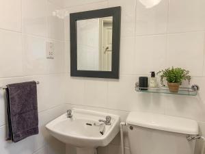 a bathroom with a sink and a toilet and a mirror at Miners Cottage in Middleton in Teesdale +15 photos