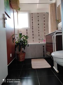 a bathroom with a potted plant and a bath tub at La maison écolo de Nono in Dhuizon