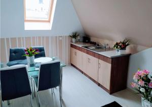 Kuchyňa alebo kuchynka v ubytovaní Müezzin Apartman