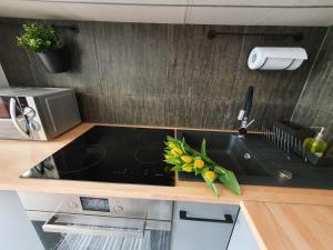 Kuchyňa alebo kuchynka v ubytovaní Apartament w centrum 3
