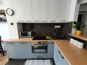 Kuchyňa alebo kuchynka v ubytovaní Apartament w centrum 3