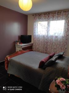 um quarto com uma cama, uma janela e uma televisão em La maison écolo de Nono em Dhuizon