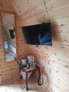 Televisor o centre d'entreteniment de Log cabin