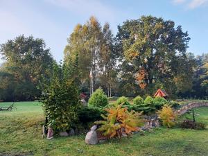 Fotografia z galérie ubytovania Agroturystyka Dębowe Wzgórze v destinácii Szyldak