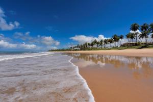 een strand met palmbomen en de oceaan bij Praia do Forte Ibero Star- Apartamento Mediterraneo 2 Iberostate in Praia do Forte