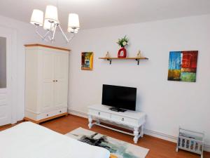TV a/nebo společenská místnost v ubytování Casa Dușa - Apartament Crisstina