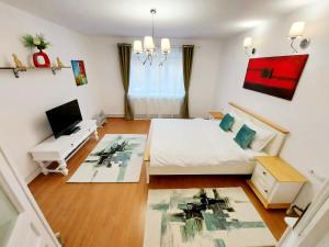 ブラショヴにあるCasa Dușa - Apartament Crisstinaのベッド1台とテレビが備わる小さな客室です。