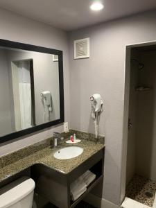 a bathroom with a sink and a toilet and a mirror at Skyways Hotel in Los Angeles