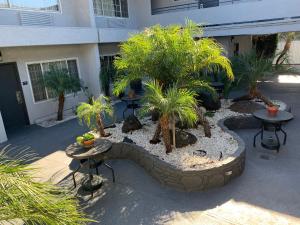 a courtyard with tables and palm trees in front of a building at Skyways Hotel in Los Angeles