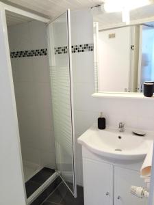 y baño blanco con lavabo y ducha. en Appartement cosy rue Sainte Madeleine en Estrasburgo