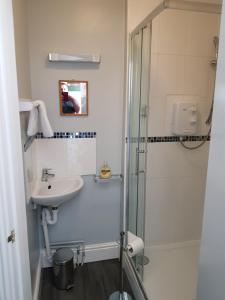 a bathroom with a shower and a sink at The Chase Inn in Bishops Frome