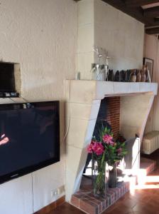 salon z kominkiem, telewizorem i kwiatami w obiekcie Gîte Ô Beauval w mieście Saint-Aignan
