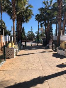 Fotografia z galérie ubytovania ACV - Bahia Park-1ª Linea Planta 6 Norte v destinácii Oropesa del Mar