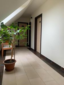 Fotografie z fotogalerie ubytování Tündérszikla Panzió v destinaci Pilisjászfalu + 39 fotografií