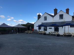a white building with picnic tables and umbrellas at Blue Lion Inn in Lewdown