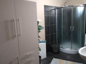 Kúpeľňa v ubytovaní Rozmaring Vendégház