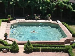 a person swimming in a swimming pool at CHATEAU LA SERVAYRIE - Chambre d'hôtes in Marcillac-Vallon