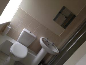 a bathroom with a toilet and a sink and a mirror at Blue Lion Inn in Lewdown