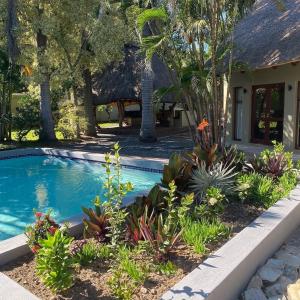 a swimming pool in front of a house with plants at La Lechere Guest House in Phalaborwa