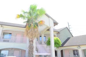 a palm tree in front of a house at Texan Inn & Suites in Houston