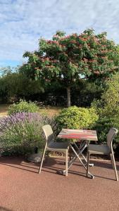 2 Stühle, ein Tisch, ein Tisch und ein Baum in der Unterkunft Fasthotel Saint-Amand-Montrond Orval in Orval