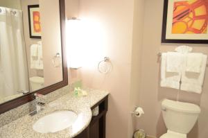 ein Badezimmer mit einem Waschbecken, einem WC und einem Spiegel in der Unterkunft Holiday Inn Houston West - Westway Park, an IHG Hotel in Houston