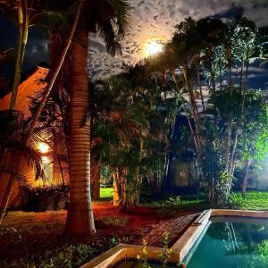 a resort with a pool and palm trees at night at La Lechere Guest House in Phalaborwa