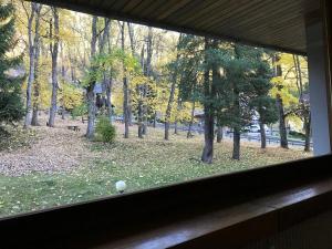 Príroda v okolí apartmánu