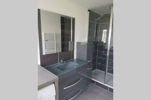 une salle de bain avec une douche en verre et un lavabo dans l'établissement maisonnette entre lac de Passy et montagnes, à Domancy