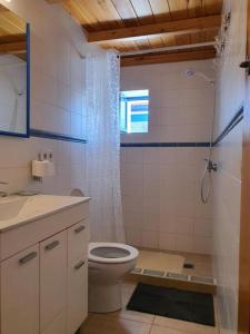 un baño con inodoro y ducha en Villa Marta Formentera, en Sant Ferran de Ses Roques