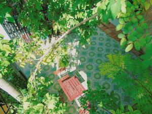 會安的住宿－Xanh Lá Homestay Hội An，花园中红色长凳的顶部景色