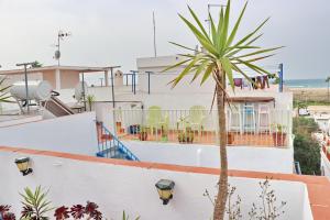una palmera en el techo de una casa en Habitación Cañaveral Playa Conil IV, en Conil de la Frontera