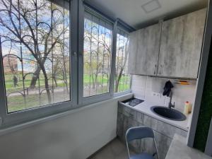 a kitchen with a sink and two windows at Посуточно мини-студия метро Минская Киев in Kyiv
