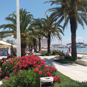 um parque perto da água com palmeiras e flores em B&B Guest House "Be Happy"-parking,breakfast Center em Split
