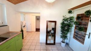 a kitchen with green cabinets and plants on the wall at privates Ferienhaus Lungern see-you in Lungern