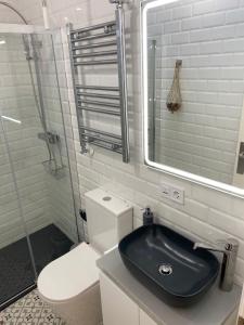 La salle de bains est pourvue de toilettes, d'un lavabo et d'une douche. dans l'établissement Fuencarral Apartments, à Madrid