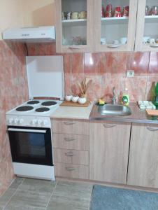uma pequena cozinha com um fogão e um lavatório em Valja Mare Moma em Golubac
