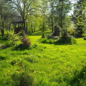 un champ d'herbe verte avec un kiosque dans l'établissement Agrochillout Gospodarstwo agroturystyczne, à Zagnańsk Zachełmie