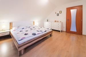 伏爾塔瓦河畔利普諾的住宿－Holiday Lipno，一间卧室设有一张大床,铺有木地板