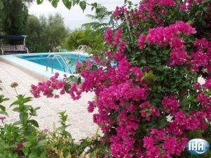 un arbusto de flores rosas junto a una piscina en Casa Rural Mi Campo en Fenazar